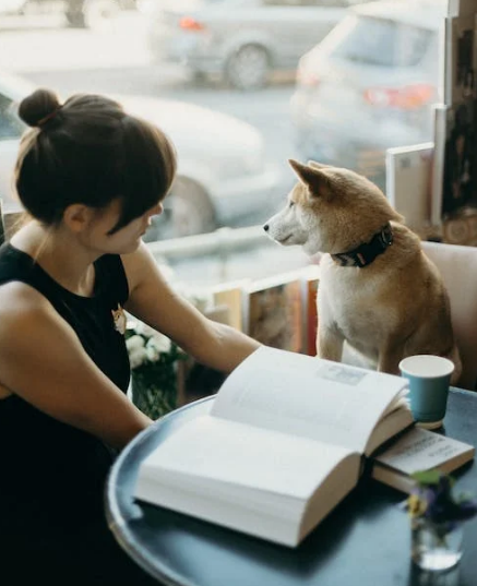 펫로스증후군-극복방법