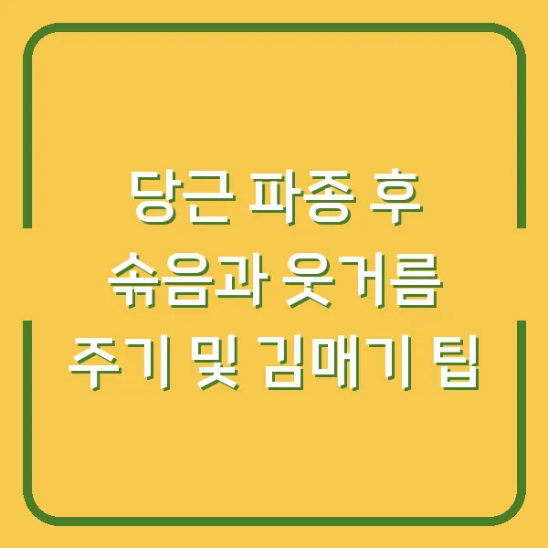 당근 파종 후 솎음과 웃거름 주기 및 김매기 팁