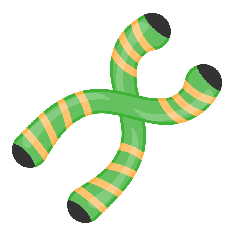 아르기닌 효과 부작용 복용법