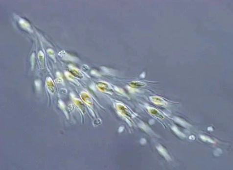 Frequently Asked Questions (FAQs)