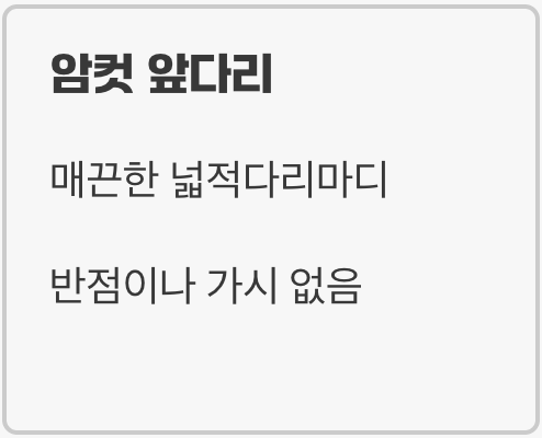 숨겨진 단서, 앞다리 넓적마디의 '가시'