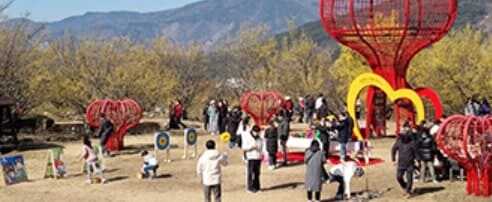 구례 산수유축제