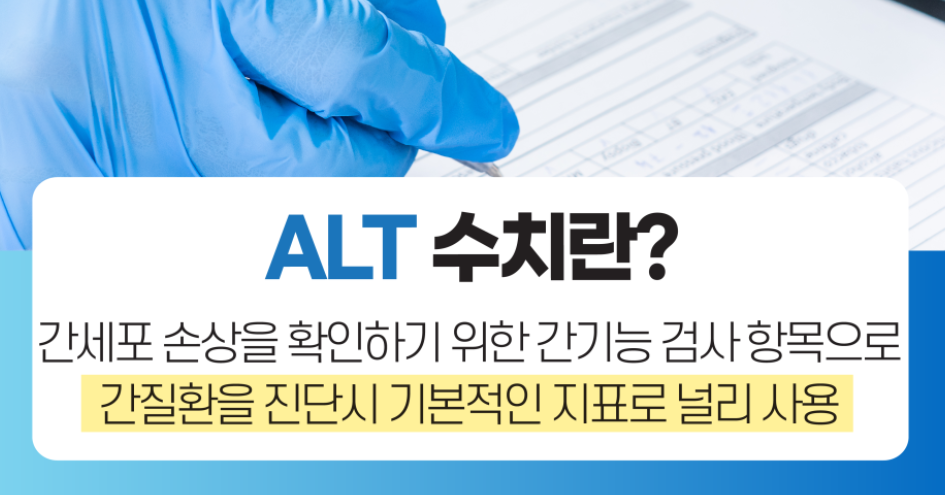 ALT수치-사진1