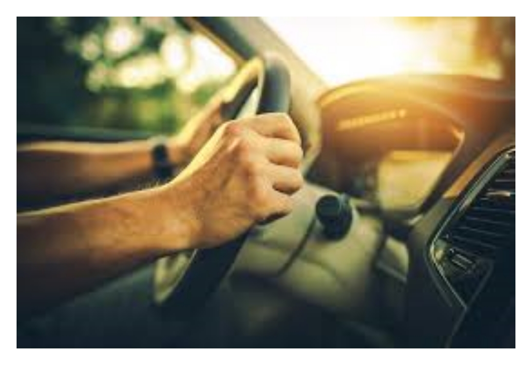 고령 운전자 자발적 운전면허 반납과 교통카드 지원, 이동권 논란