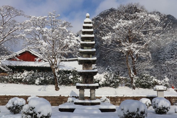 전라도 겨울 트레킹 명소 BEST 5, 남도에서 만나는 고요한 숲길 여행