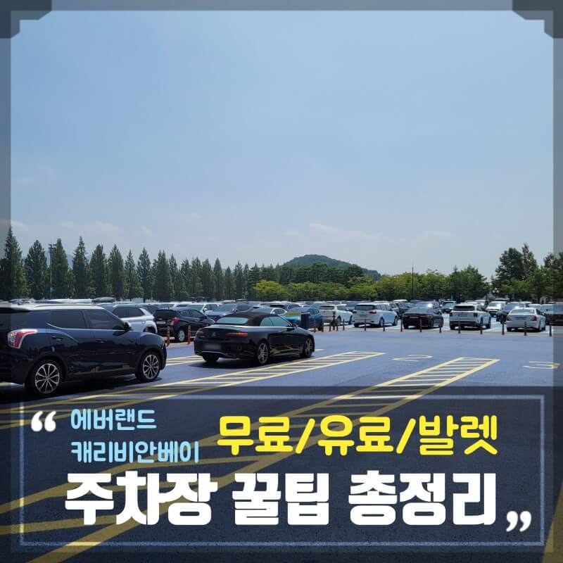 에버랜드 캐리비안베이 발레파킹