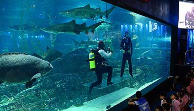 1월 부산 가볼만한곳 추천 ❘ 새해 신년 국내 겨울 여행지 명소 ❘ 가족 실내 데이트