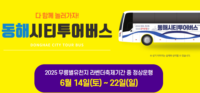 2025 동해 무릉별유천지 라벤더축제 총정리! 일정부터 포토존, 입장료까지(6.14~22)