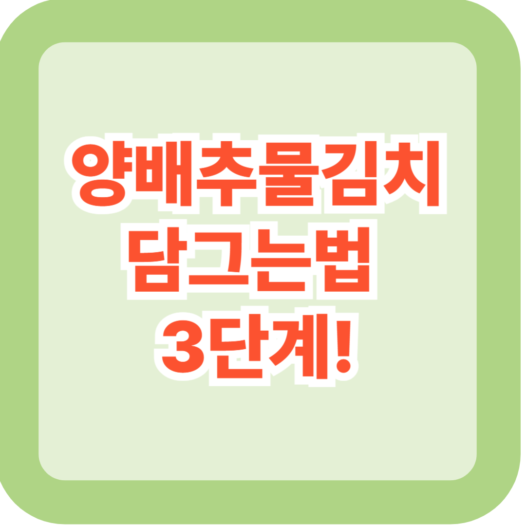 양배추물김치 담그는법 3단계 – 여름철 시원한 국물김치 황금비율 공개
