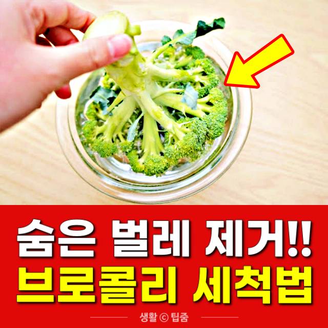 브로콜리 세척,브로콜리 씻는법,브로콜리 씻는방법,팁줌