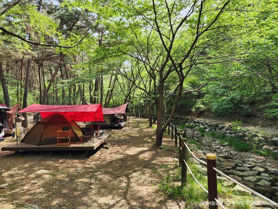 서천 가볼만한곳 베스트10