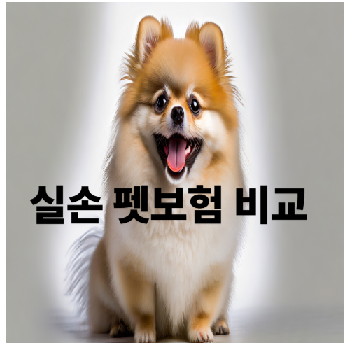 실손 펫보험 비교