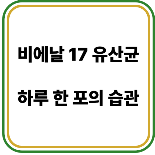 비에날 17 유산균
