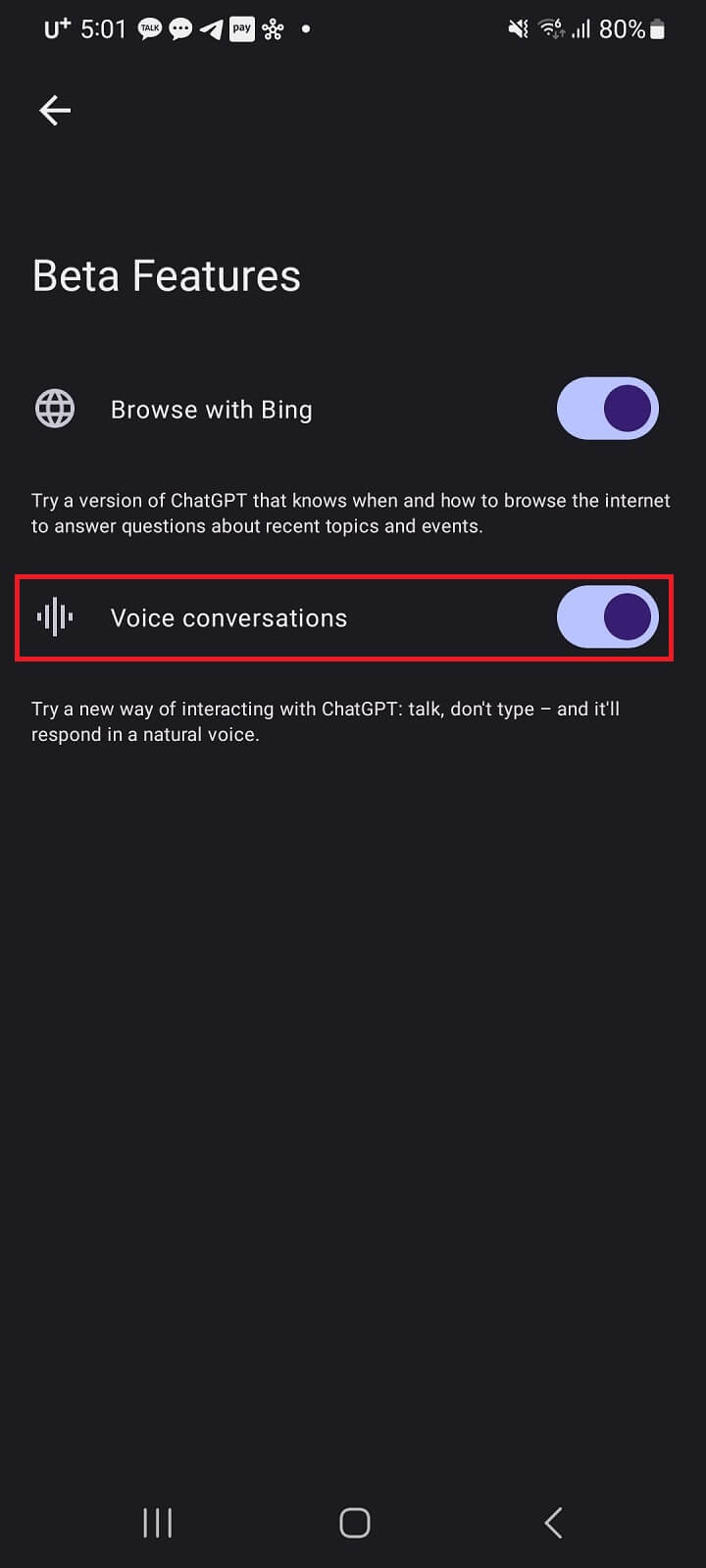 Voice-Conersations-On