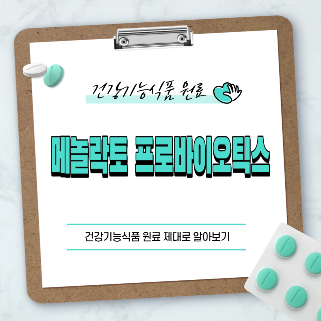 메놀락토 프로바이오틱스