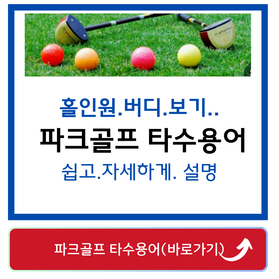 파크골프 타수용어