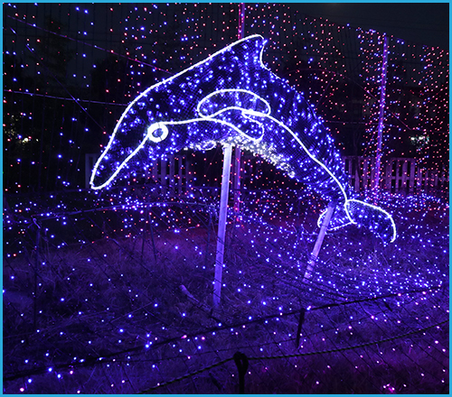 태안빛축제 & 꽃박람회