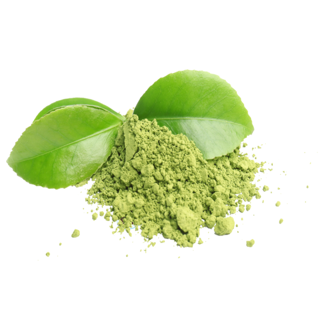 보이차와 관련된 사진입니다.