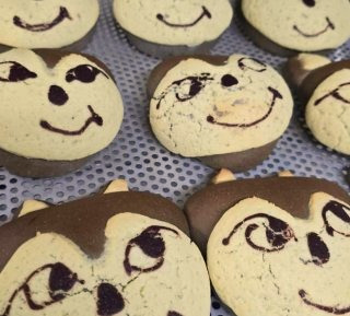 늑구 근황 ❘ 성심당 늑구빵 ❘ 대전 오월드 스타 늑대