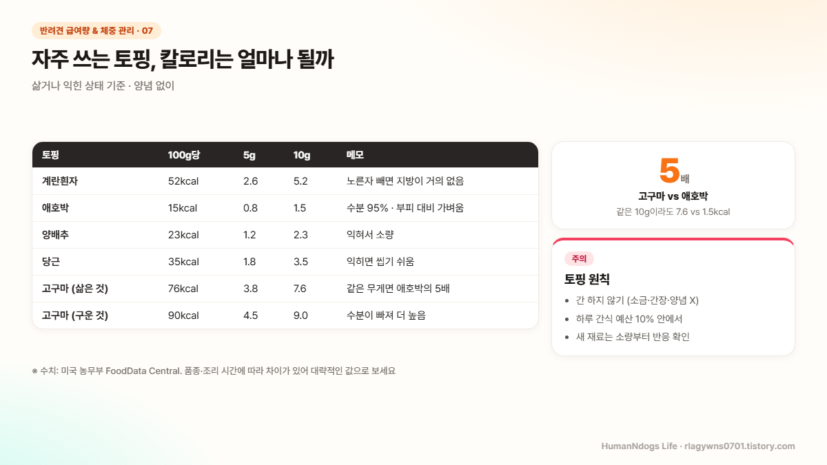 계란흰자, 애호박, 양배추, 당근, 삶은 고구마, 구운 고구마의 100g당, 5g, 10g 칼로리 비교표와 토핑 원칙