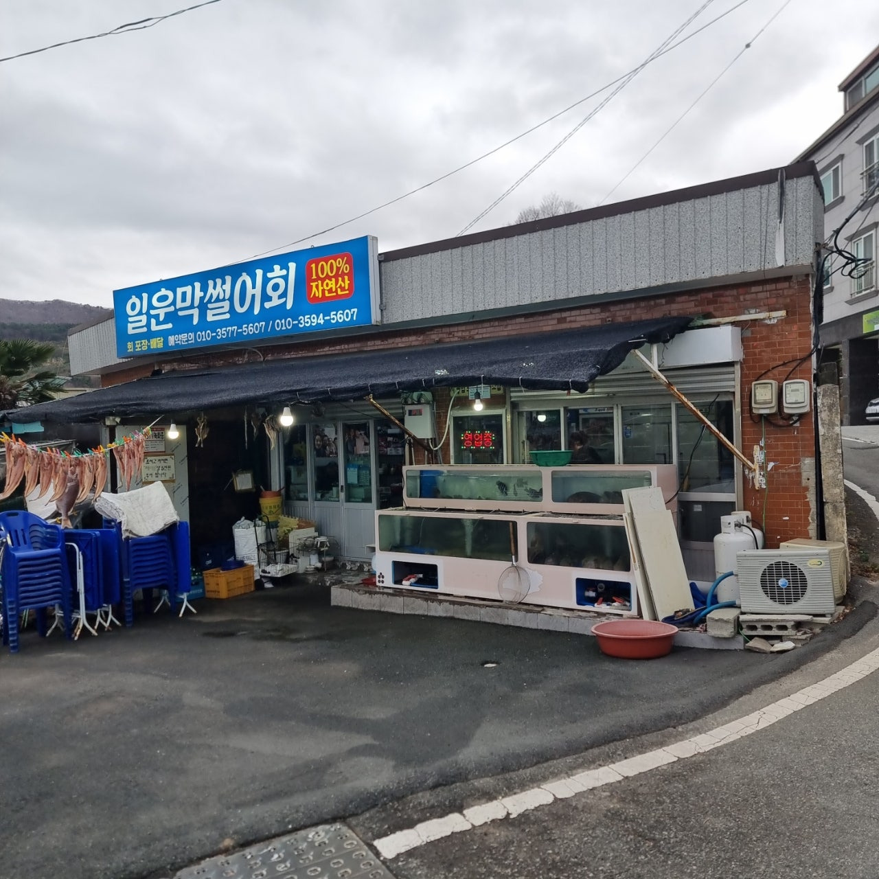 거제도 일운막썰어회