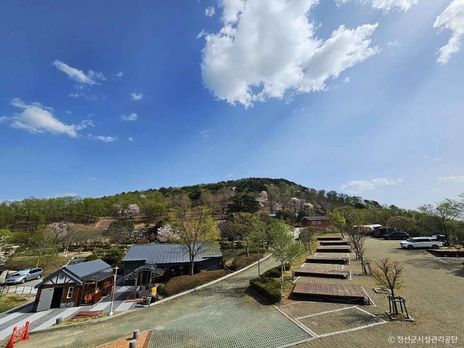 동강전망자연휴양림