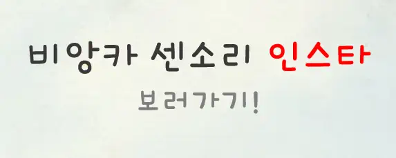 비앙카 센소리 인스타 보러가기