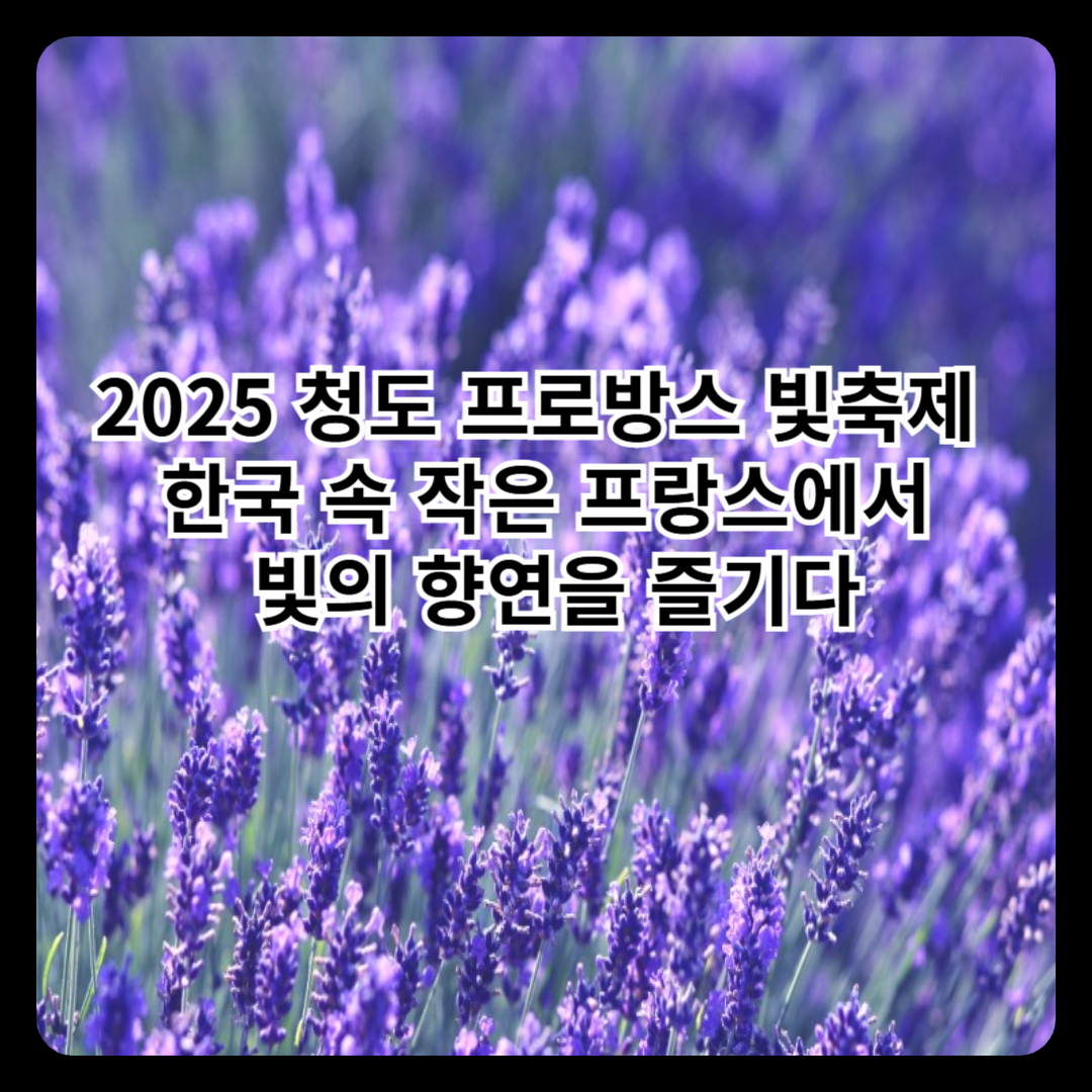 2025 청도 프로방스 빛축제: 한국 속 작은 프랑스에서 빛의 향연을 즐기다