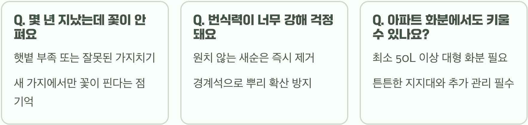 초보 정원사를 위한 능소화 키우기, 묘목 심기부터 월동까지 A to Z