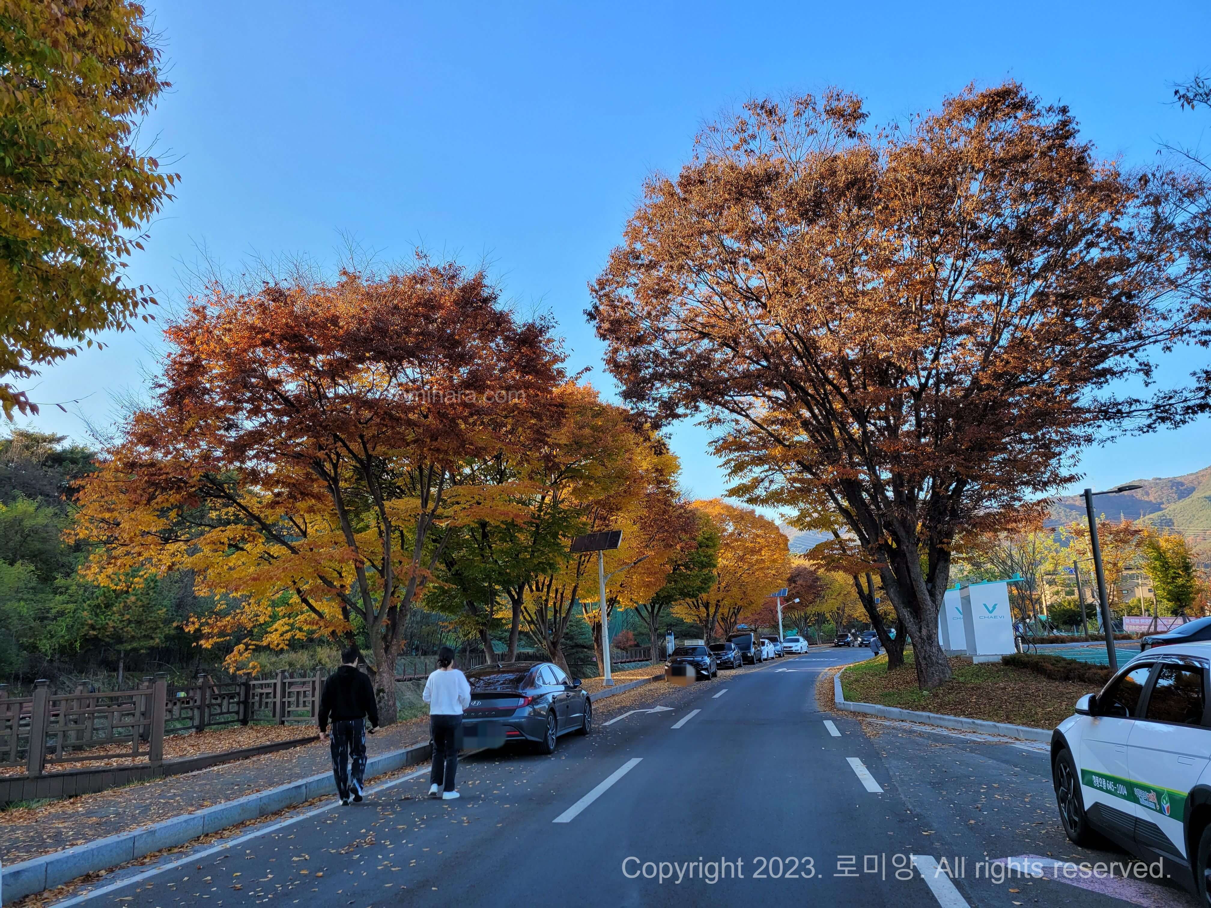 제천 가볼만한 곳 의림지