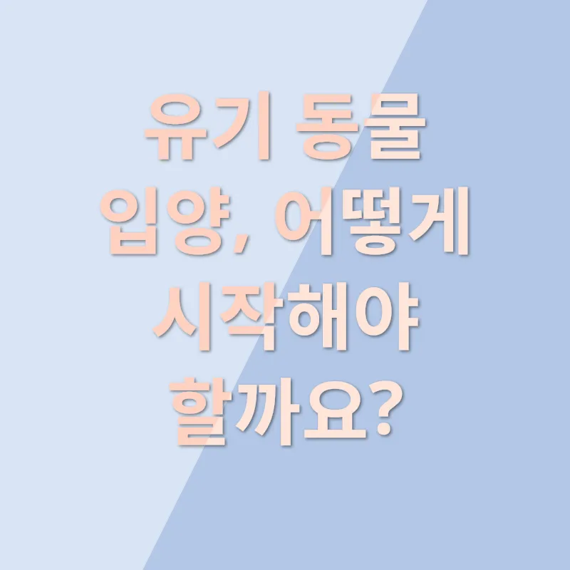 동물 입양_2