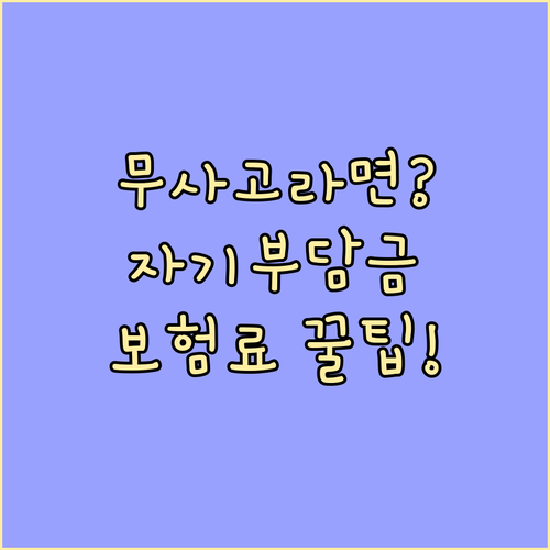 무사고 베테랑이라면? 자기부담금 조정..