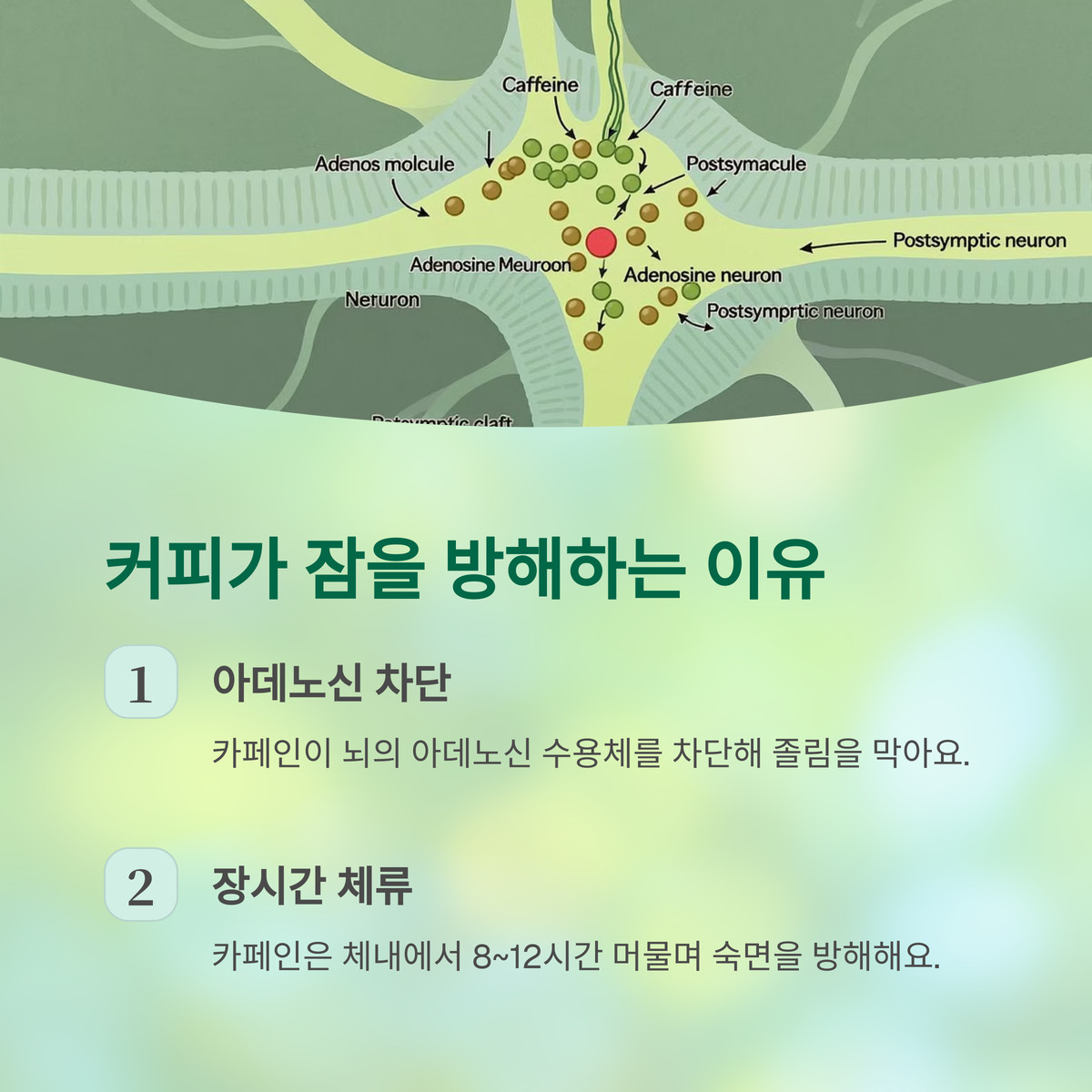 커피가 잠을 방해하는 이유