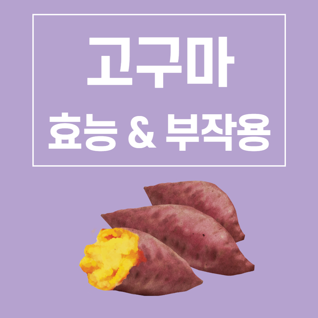 고구마 효능 부작용