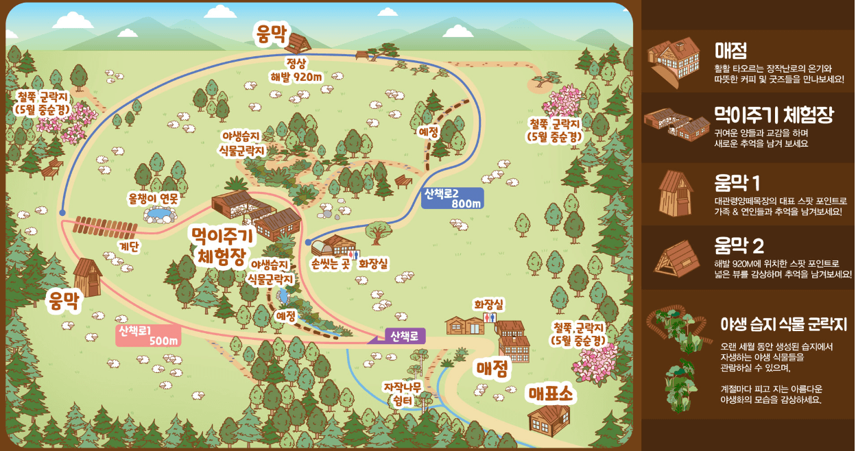 겨울 여행지 추천 대관령양떼목장