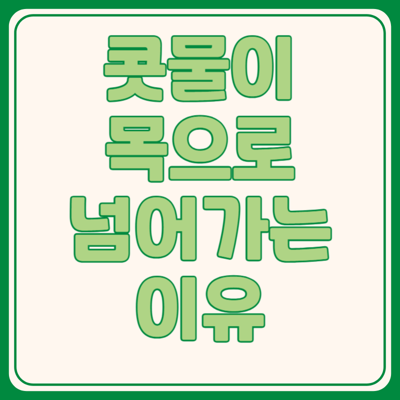 콧물이 목으로 가래