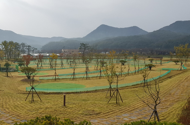 영광 불갑테마공원 영광파크골프장