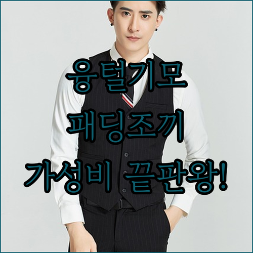 가격대별 경량 패딩 조끼 가성비 끝판..