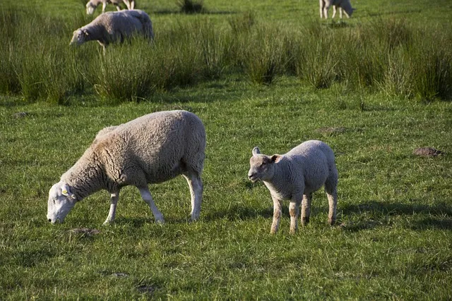 강릉 가볼만한곳 베스트10