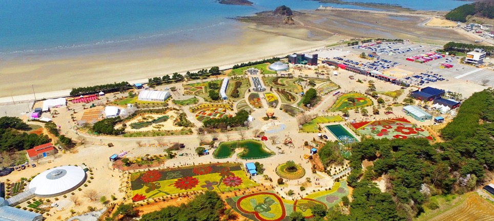 생활정보_꽃축제_태안튤립박회 약도.jpg