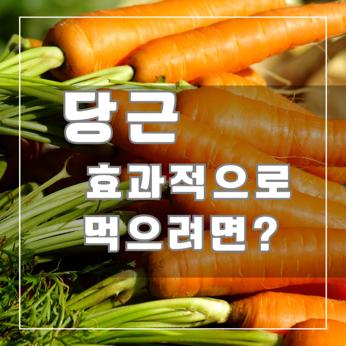 당근 효과적으로 먹으려면