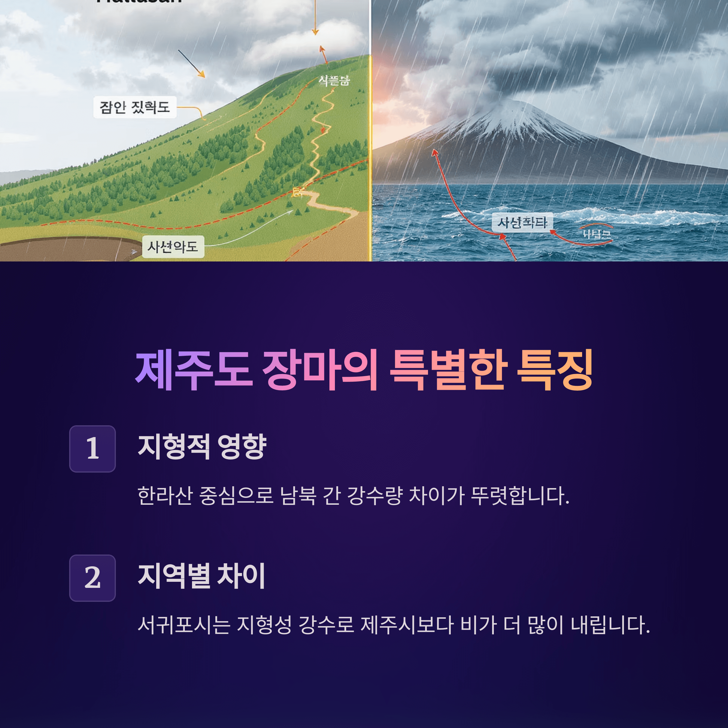 제주도 장마기간 체크! 2025 대비 가이드