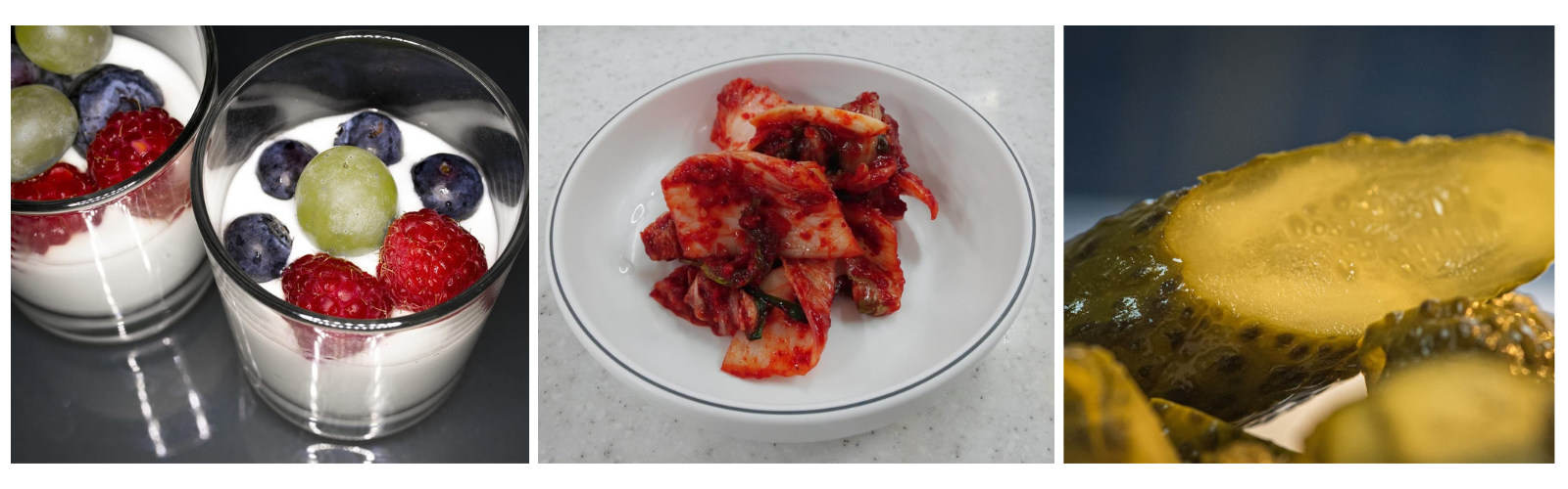 프로바이오틱스 효능, 정말 장 건강에만 좋은 걸까?