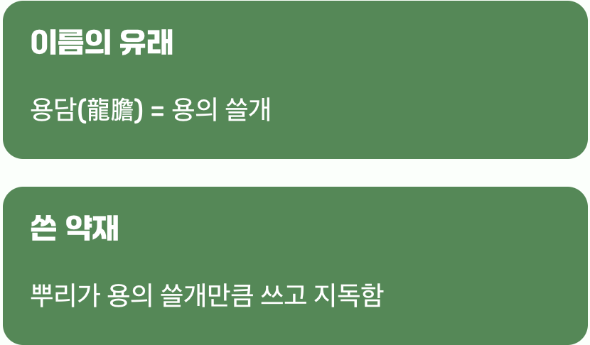 이름에 담긴 씁쓸한 비밀