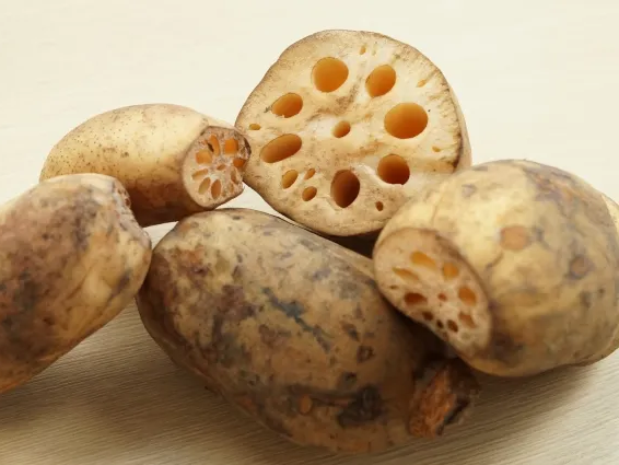 연근 프리바이오틱스 역할 성분