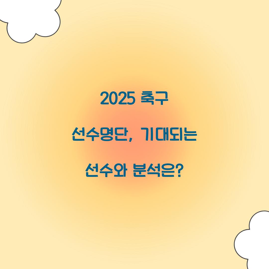2025 축구 선수명단