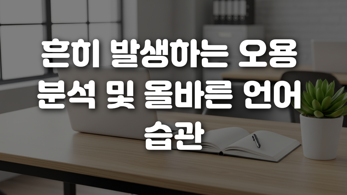 흔히 발생하는 오용 분석 및 올바른 언어 습관