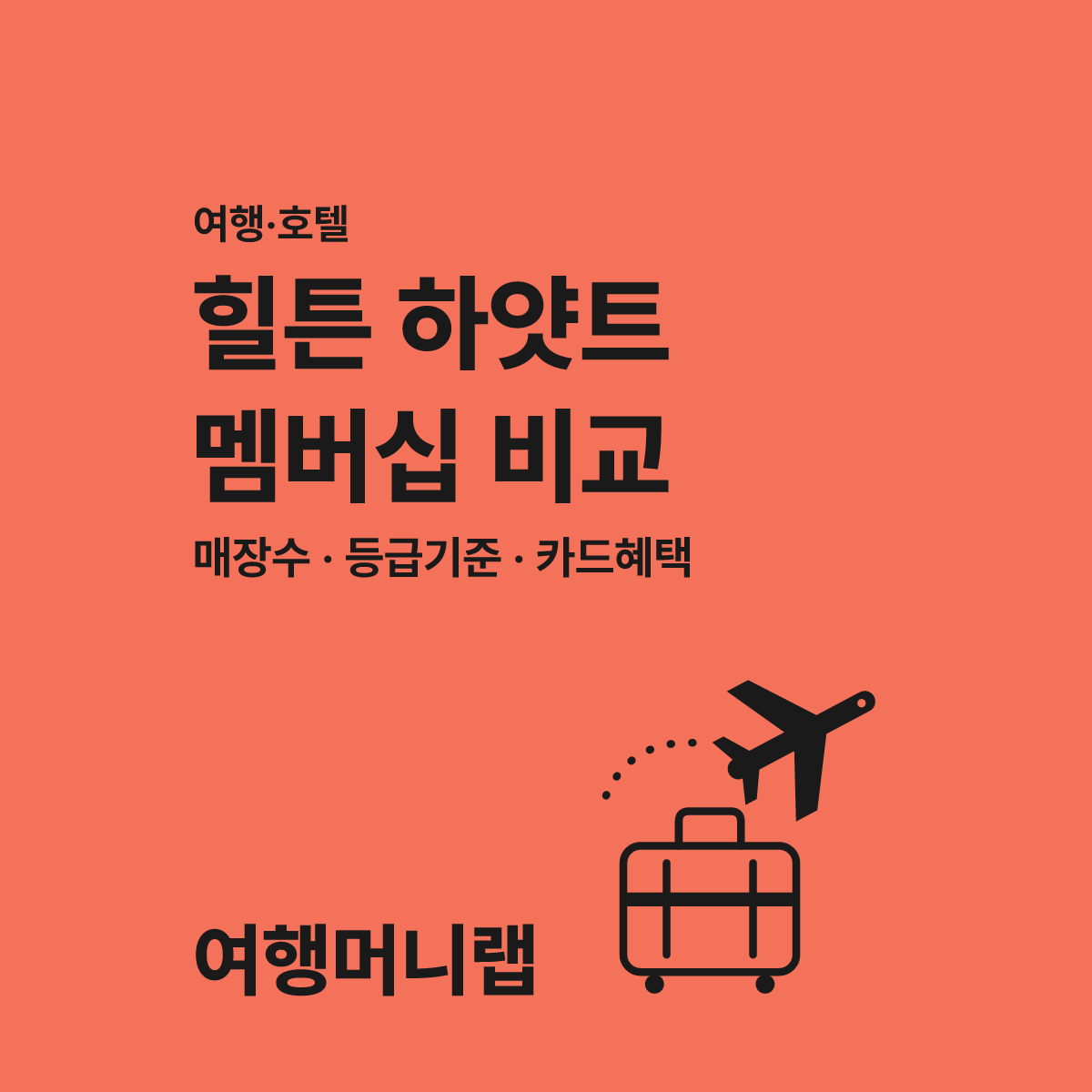 힐튼 vs 하얏트 국내 멤버십 완벽 비교 이 글 하나로 고민 끝! 2026가이드 대표 이미지