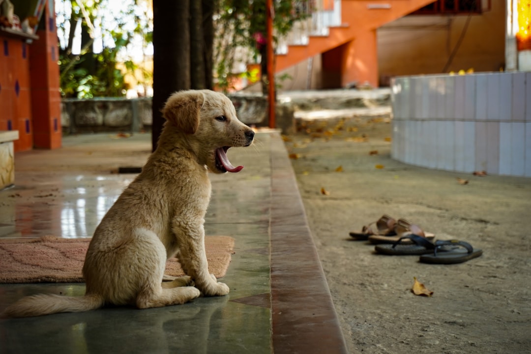 Waiting list