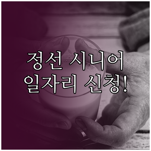 정선군 시니어클럽 시장형 공익형 일자..